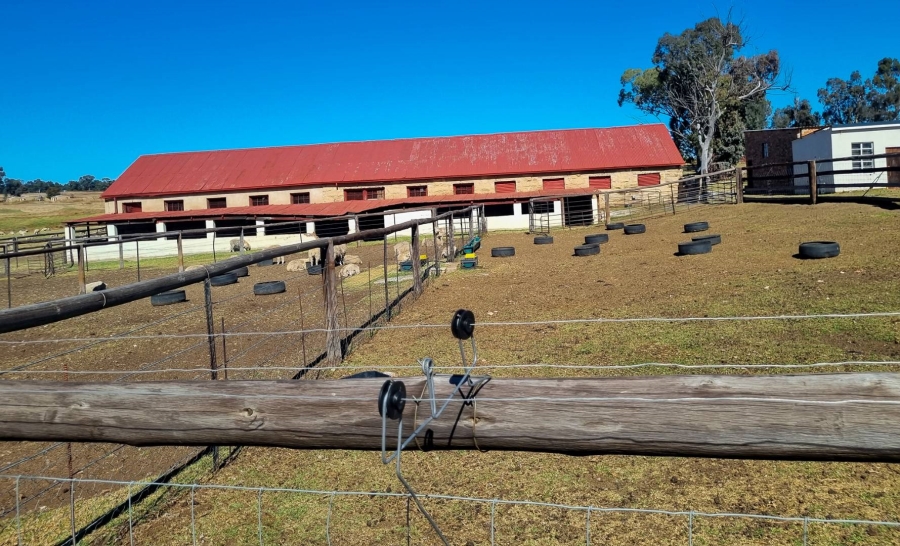 0 Bedroom Property for Sale in Bethlehem Free State